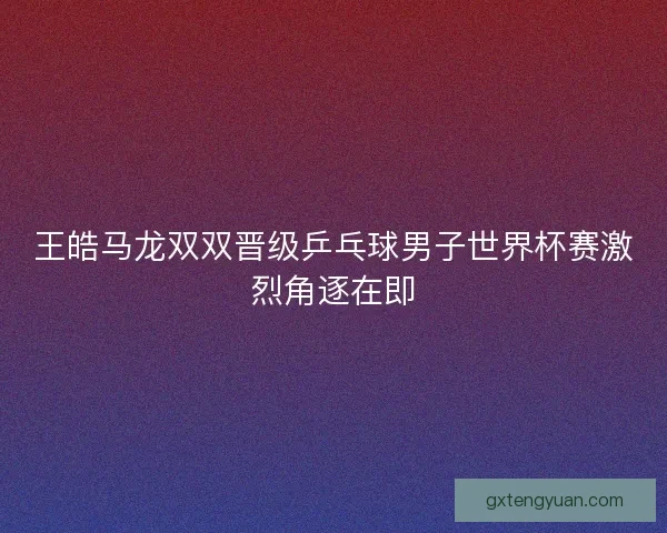 王皓马龙双双晋级乒乓球男子世界杯赛激烈角逐在即 王皓马龙双双晋级乒乓球男子世界杯赛激烈角逐在即