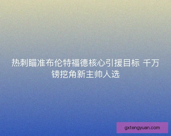 热刺瞄准布伦特福德核心引援目标 千万镑挖角新主帅人选