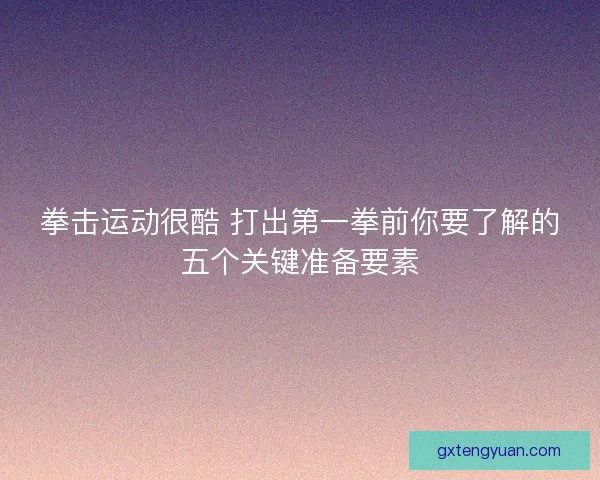 拳击运动很酷 打出第一拳前你要了解的五个关键准备要素